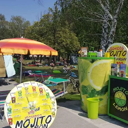 In - Balaton 35466 *