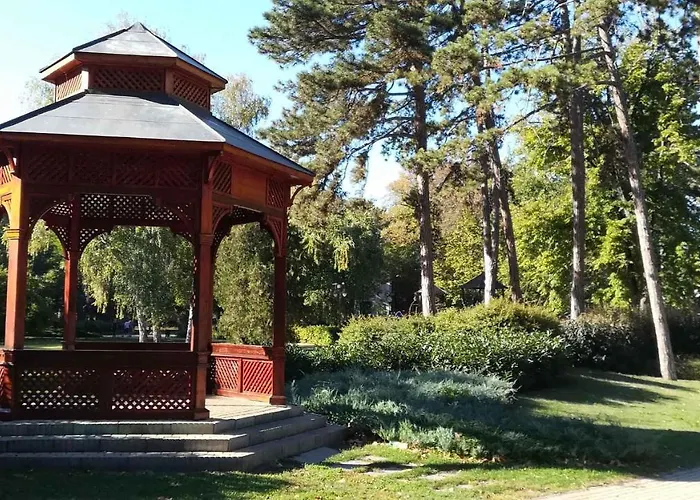 In - Balaton 35466 * שיופוק