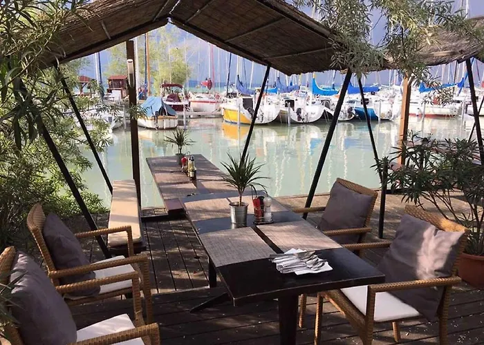 In - Balaton 35466 שיופוק